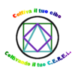 Logo del gruppo C.A.S Associazione ”Regina del Sole”